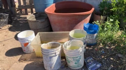 ¡Mucho ojo! Siguen sin agua los habitantes de la colonia Ferrusquilla
