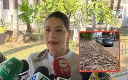 ¡Atentos! Crecen los reportes de deforestación en el municipio de Ahome