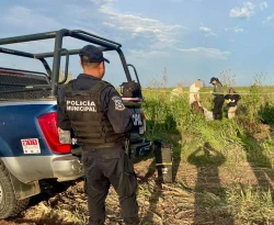 Localizan sin vida a Rigoberto, de 53 años, en Nío, Guasave
