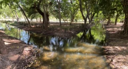 ¡Ya tienen agua los canales de riego del Parque Sinaloa!