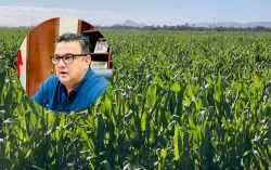 Adquisición de coberturas, la mejor manera de proteger el agro sinaloense: AARSP