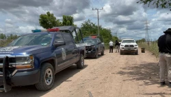Localizan a tres hombres y una mujer ejecutados en Navolato