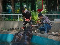 Gloria y Motomoto, el alma del Zoológico de Culiacán
