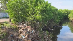 Limpieza en arroyo Jabalines de Mazatlán se realiza con mucho cuidado señala Estrella Palacios