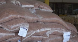 Mazatlán refuerza apoyos a la ganadería, pesca y agricultura