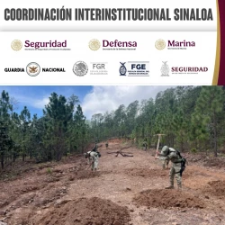 Grupo Interinstitucional asegura e inhabilita pista de aterrizaje clandestina en Choix
