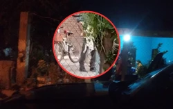 ¡Alertan! Denuncian caso de maltrato animal en el Ejido Primero de Mayo, Ahome