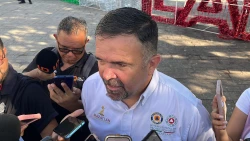 En Mazatlán se han registrado cuatro ataques de abejas en los últimos dos meses