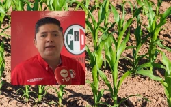 “Empresarios, agricultores y ganaderos fuera del presupuesto 2026”: PRI Sinaloa