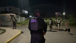 Mujer es ejecutada con disparos en la cabeza en Valle del Encino en Culiacán