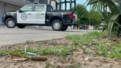 Enfrentamiento y persecución en Villa del Real en Culiacán, deja un muerto y dos detenidos