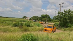 Dos hombres pierden la vida tras ser atacados por abejas en un rancho cerca de La Urraca, Mazatlán 