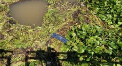  Conductor pierde la vida al caer en su vehículo al canal Lateral 18, Ahome