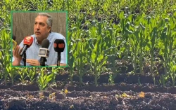 “Deberemos optimizar volúmenes de agua”: AARFS