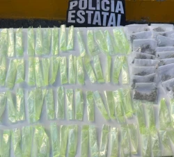 Incauta Gobierno de Sonora 70 envoltorios con narcótico en Hermosillo