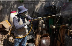 Intensifican acciones para controlar el dengue en Sonora