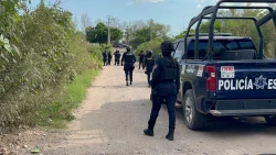 En una semana se detuvo a 34 personas, y se aseguraron 26 mil 400 cartuchos