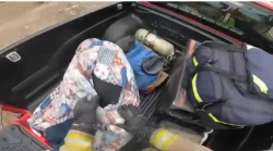 Rescatan a hombre que recibió 230 picaduras de abeja en Mazatlán