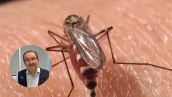 Aumentan los casos de dengue en la zona norte de Sinaloa