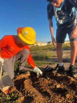 ¡Siembran vida en Hermosillo! Gobierno de Sonora impulsa jornada de reforestación