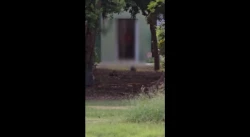 ¡Alerta! Detienen a exhibicionista en el Parque Sinaloa!