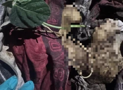 Localizan fosa clandestina con restos humanos en Mazatlán