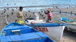 Por más de una semana pescadores de Playa Norte no trabajaron debido a marejadas que también dañaron embarcaciones y rampa de acceso