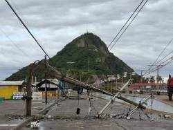 Lluvias intensas provocan caída de árboles, postes y desgajamientos en Mazatlán