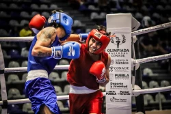 Sonorenses ganan oro y plata en torneo de boxeo en España