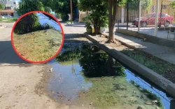 Desde hace dos años reportan una fuga de aguas negras en el sector Macapule