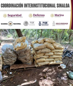 Grupo Interinstitucional asegura 2 laboratorios para la fabricación de drogas sintéticas en Culiacán