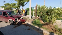 Camioneta choca contra árbol y lo derriba en la avenida Rafael Buelna de Mazatlán