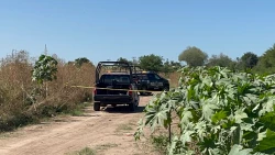 Localizan a hombre ejecutado y esposado en Culiacancito, Culiacán 