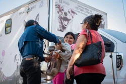 Habitantes del sector El Vallado acuden a la Jornada Permanente de Esterilización de Mascotas