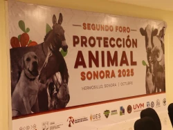 Concluye con éxito el Foro de Protección y Bienestar Animal Sonora 2025