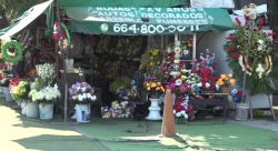 Aumenta el número de permisos para la venta de flores en Panteones de Mazatlán 