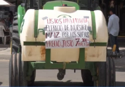 Por lo menos 7 mil pesos por tonelada de maíz piden agricultores