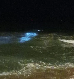 Salvavidas rescatan a hombre que ingresó a bañarse en zona rocosa de Mazatlán