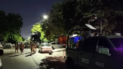 Siete personas sin vida y 3 carpetas de investigación por homicidio doloso durante el domingo 9 de noviembre de 2025: FGE