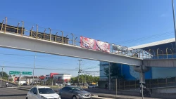 Lonas instaladas por colectivo fueron retiradas por los concesionarios de puentes peatonales: Estrella Palacios