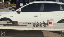 Aseguran en Culiacán objetivos ilícitos en Pradera Dorada