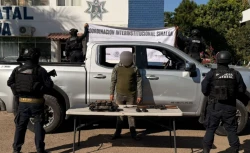 Detienen a 80 personas en Sinaloa por diversos delitos