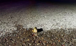 Localizan a hombre ejecutado y arrollado por vehículo pesado en la carretera vieja a Navolato, en San Pedro