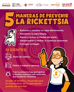 Salud llama a reforzar la limpieza en casa para prevenir rickettsia y dengue