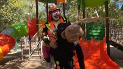¡Su propósito diario, divertir! El Payaso Chokorroll desde hace 14 años se dedica a llevar felicidad a las personas