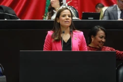 Diputada Anabel Acosta destaca que prohibición de vapeadores busca proteger la salud pública