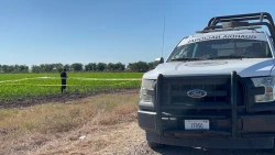 Localizan a hombre ejecutado en parcelas del poblado El Quemadito, al sur de Culiacán