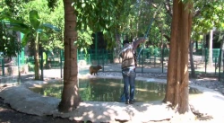 Llega nuevo inquilinos al Zoológico de Culiacán