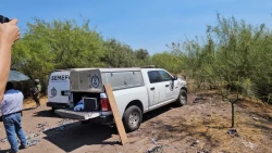 Localizan cuerpo sin vida en zona de manglares de Navolato