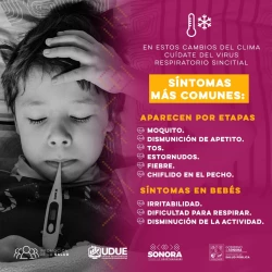 SSP Sonora dio recomendaciones para prevenir enfermedades